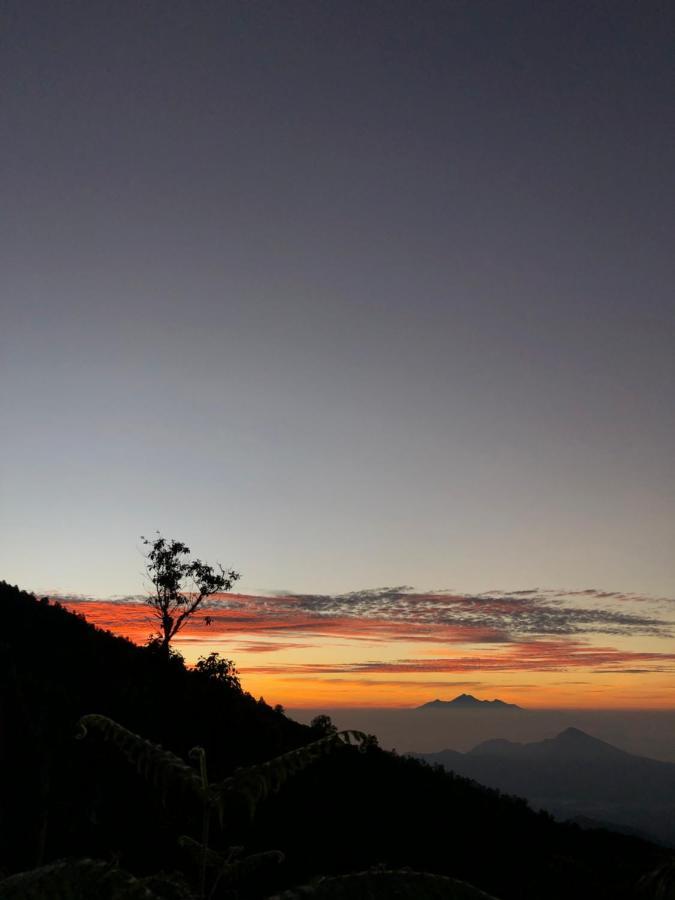 Ticket To The Moon Hammock Camp Villa Selat Ngoại thất bức ảnh